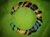 Image of Rainbow Tiger Striped Bamboos