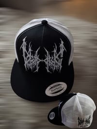 Image 3 of Dripping Demo black and white Hats 