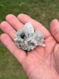 Image 14 of Huebnerite & Fine Quartz Points Specimen #2617