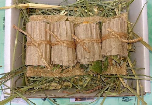 Image of Sushi forage roll box