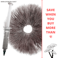 Exotic Spore Syringes | Sterile | Leur Locked + Needle Included 