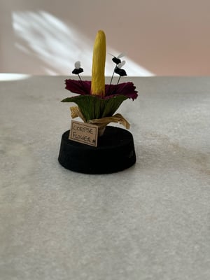 Image of Corpse flower paper plant