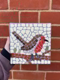 Image 1 of Robin Pseudo-Mosaic