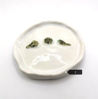 Image 3 of Croc Dish