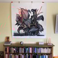 Image 2 of Black Canna - ORIGINAL (UN-FRAMED)