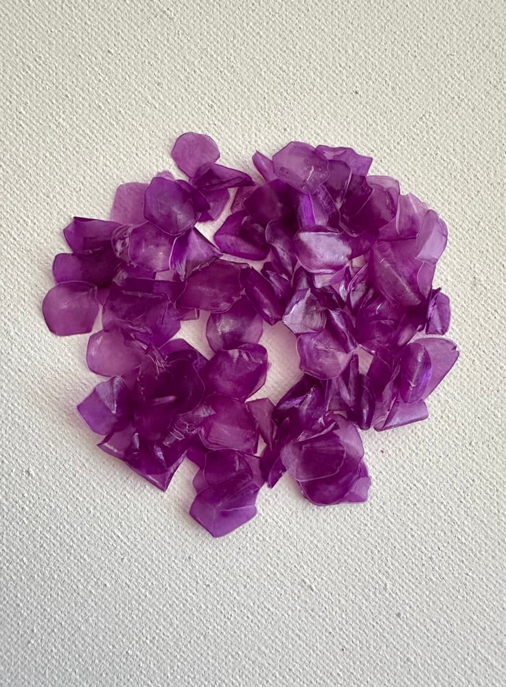 Image of Dyed fish scales - Purple