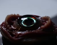 Image 5 of Eye Gobbler Badge Reel Keychain