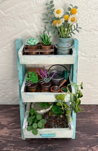 Image 1 of Miniature Garden Shelf