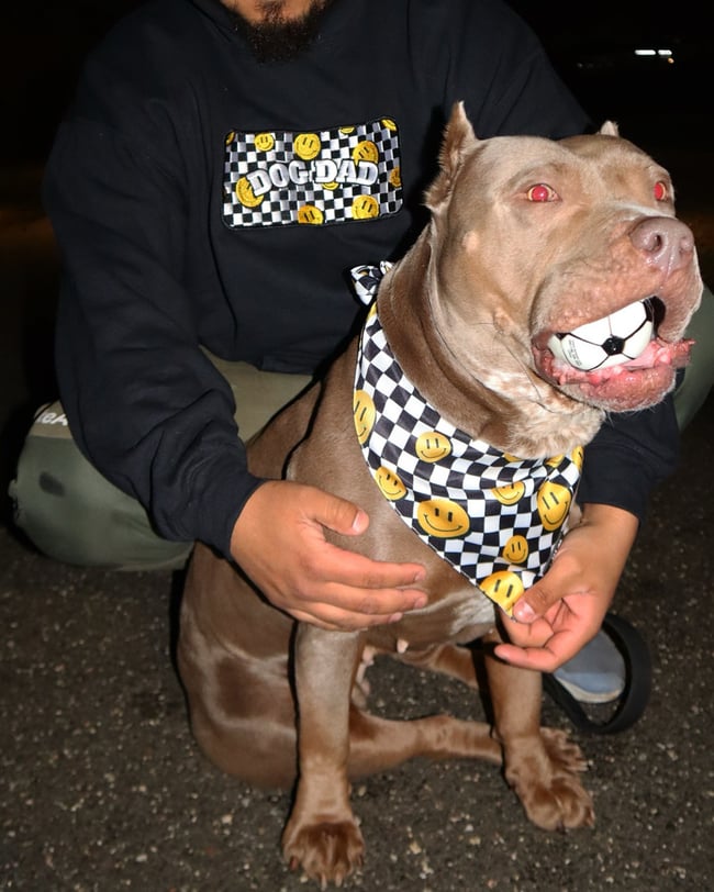 SMILEY DOG MOM/DOG DAD 