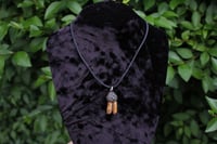 Image 3 of Dead good stained sheep tooth necklace