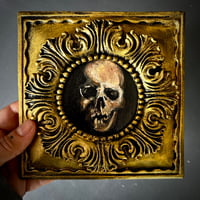 Image 2 of Estudio de cráneo 