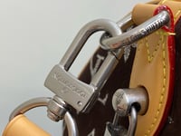 Image 13 of LV Pharrell Velvety Speedy