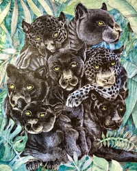 Image 1 of Seven Jaguars