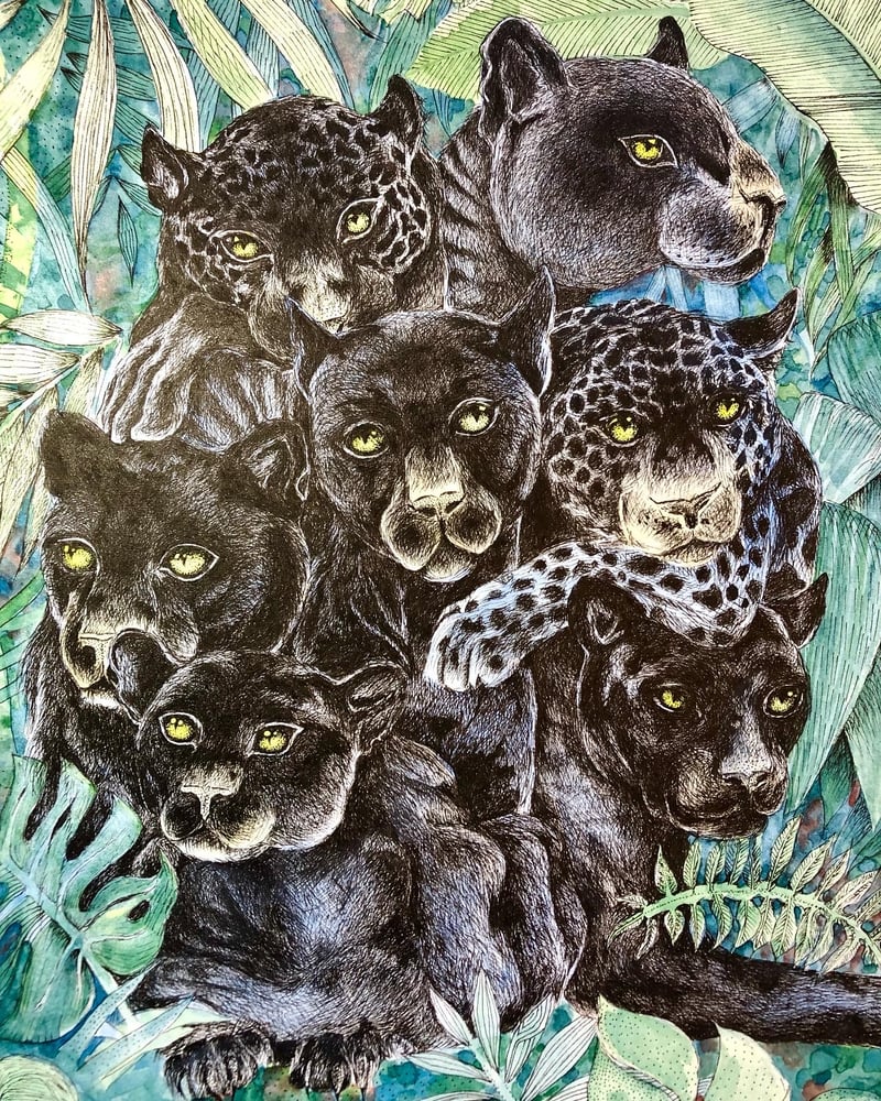 Image of Seven Jaguars