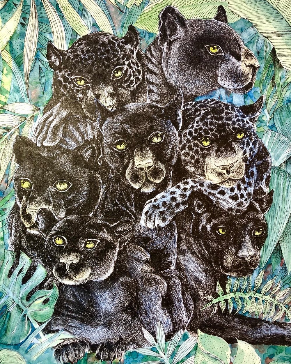 Image of Seven Jaguars