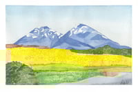 Image 1 of Snow on Mount Diablo - Print