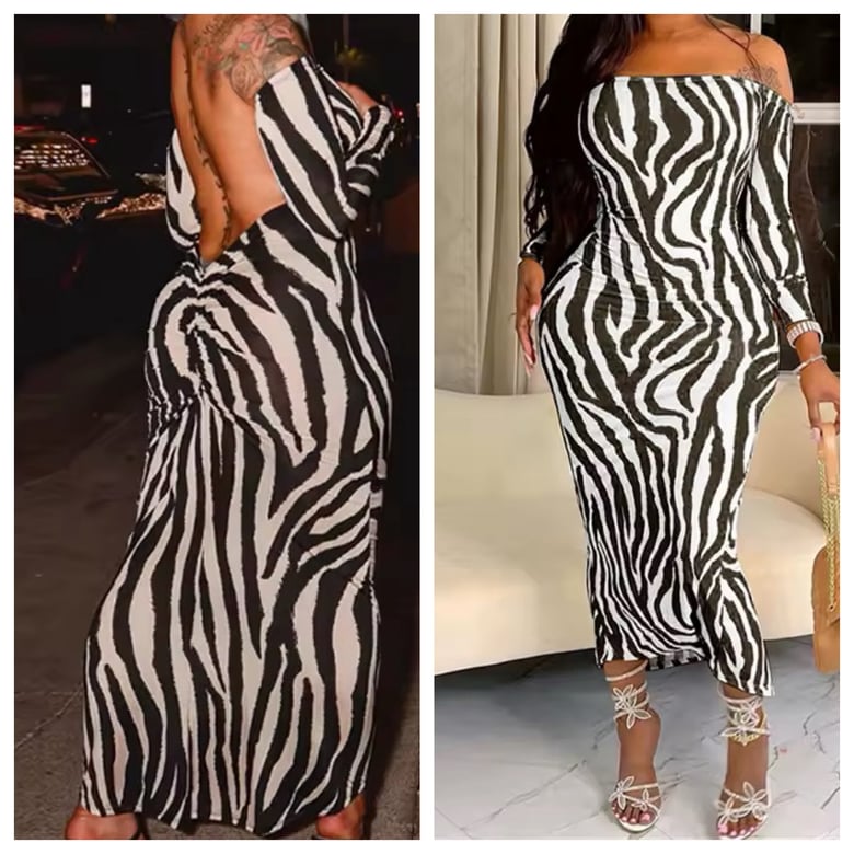 Image of Stepp Out Zebra Dress 