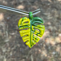 Image 2 of Variegated Monstera Leaf