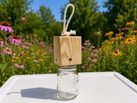 Image 3 of Woodbee Trap