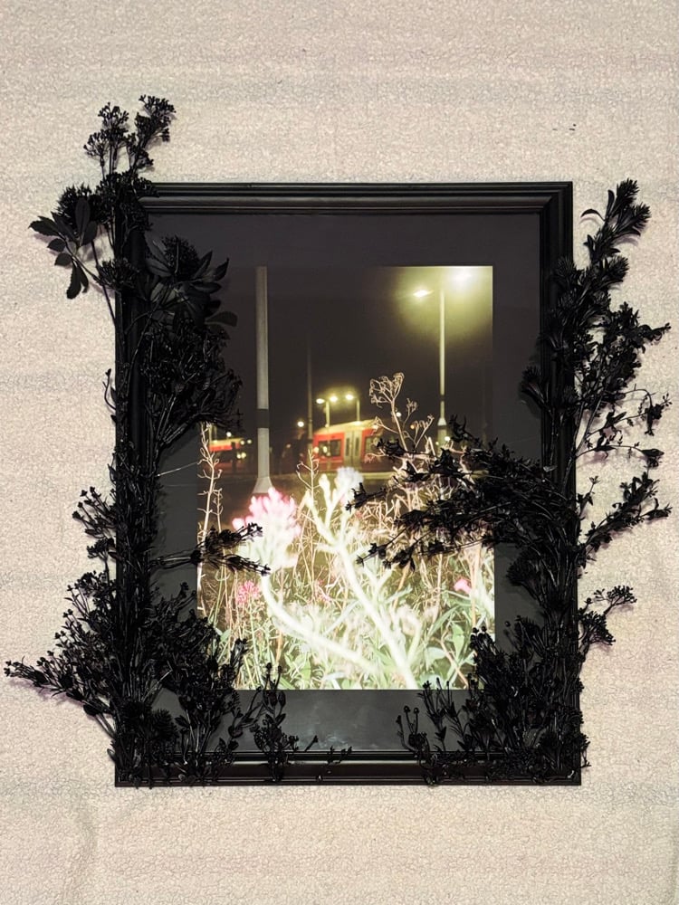 Image of Welcome to the Garden