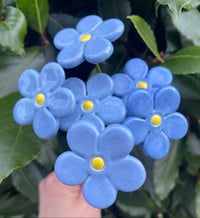 Image 1 of Forget me nots / Na’d fi’n angof 