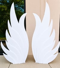Image 2 of Angel Wing Backdrop Setup