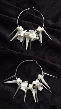 Image 6 of Cat Vertebrae bone spikey hoop earrings
