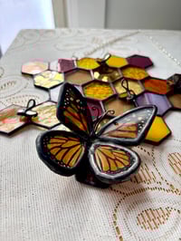 Image 4 of Pollinators at play 