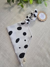 Image 3 of Spot On Style