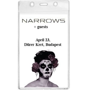 Image of Narrows concert ticket