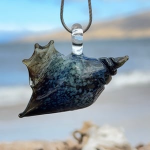 Image of Black and aqua coral Bulb Shell