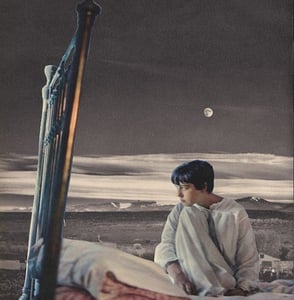 Image of *3rd Pressing* | Angel Olsen | SLEEPWALKER | 7 inch | $9