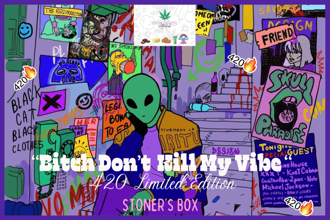 “Bitch don’t kill my vibe” Stoner’s  Box