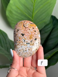 Image 6 of XL CHOOSE YOUR OWN ORBICULAR VEINLESS OCEAN JASPER PALM STONES -MADAGASCAR- 