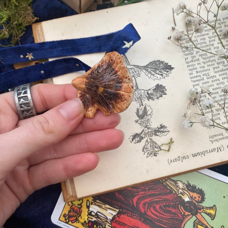 mushroom tree enchantments - chipped chantarelle Image 3