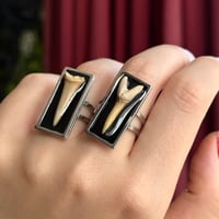 Image 3 of Shark Tooth Ring