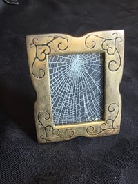Image 2 of Small Framed Preserved Web C