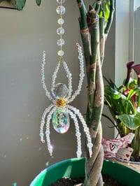 Image 2 of Lunar Prism Spider