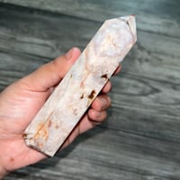 Image 3 of Flower Agate Tower B