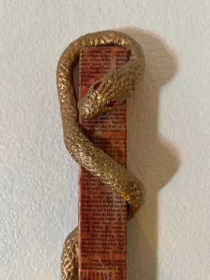 The Serpent Lights the Way: II