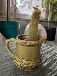 Image 2 of Lady Finger Cactus in Vintage Green Creamer