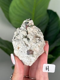 Image 8 of PINK TOURMALINE IN FELDSPAR CLUSTERS -PAKISTAN-
