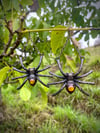 Spider Earrings