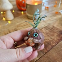 Image 3 of Baby mandragore agate