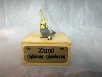 Image 11 of Custom Engraved Cockatiel Bird Mini Keepsake Urn Handpainted To Your Photo Pet Portrait