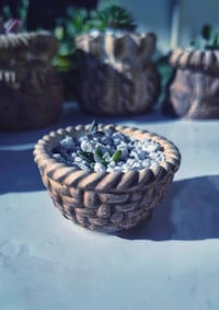 Image 1 of Basket small + baby echeveria(με παχύφυτο)