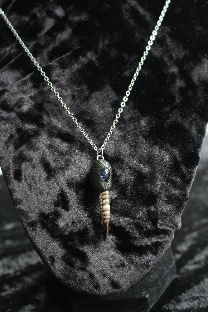 Dead Good Pheasant toe necklace with lolite crystal stone copy Image 13