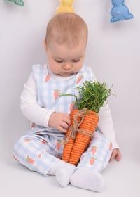 Image 13 of Spring photography sessions