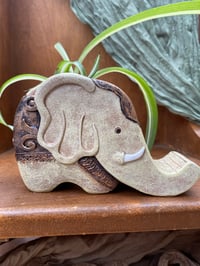 Image 1 of Curly 'Bonnie' Spider Plant in Resin Elephant