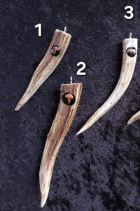 Image 8 of Antler and mushroom pendant
